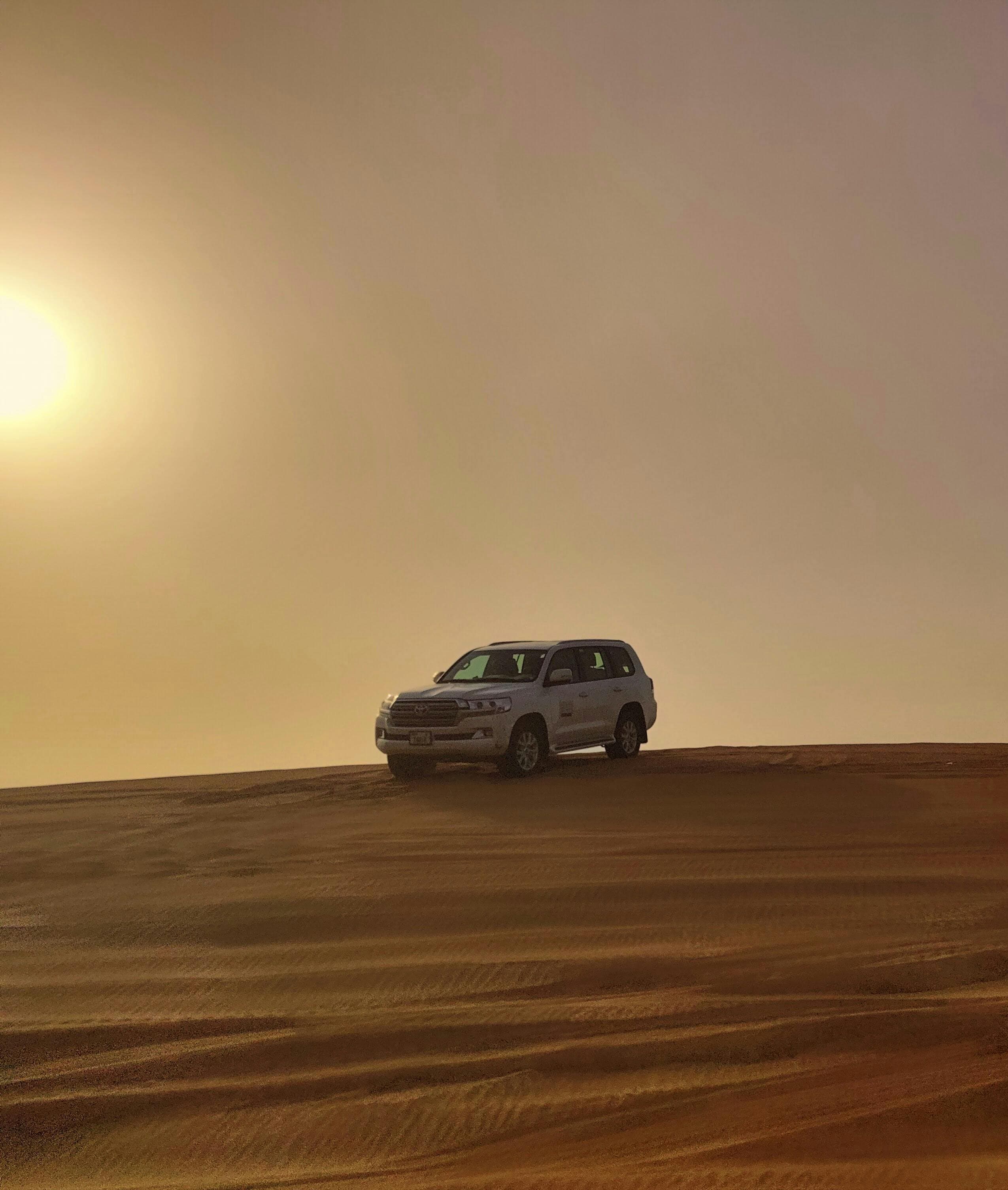 Desert Safari